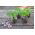 Than bùn có thể mở rộng 18 mm - 10 miếng - 