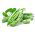 Pea - Sześciotygodniowy - 1 kg - Early-Maturing, Disease-Resistant Variety - Fresh Seeds