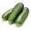 Gurka - Izyd - 250 frön - Cucumis sativus