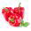 Paprikát - Ożarowska - édes - 90 magok - Capsicum L.
