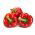 Paprika – Symphony - 10 frø - Capsicum L.