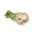 Celeriac, Root celery "Zagloba" - white and aromatic variety - 1800 seeds