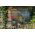 Wandgewächshaus 200 x 100 x 215 cm - 