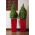 "Finezja" square tall planter with an insert - 14 cm - red
