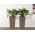 "Finezja" vierkante hoge plantenbak met een inzet - 25 cm - donkerbeige - 