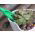 Pricking out tool set