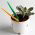 Conjunto de herramientas para pinchar - 