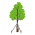 Driepunts boomstabilisator - helpt de boom rechtop groeien - 