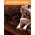 Vello marrone anti-erbaccia (agrotessuto) - per pacciamatura - 1,06 x 100,00 m - 