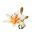 Lys - Orange Electric - Lilium Orange Electric