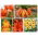 Orange blomster sæt - 5 arter