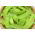 BIO - Field sugar snaps "Norli" - gecertificeerde biologische zaden - 