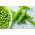 BIO - Field pea "Progress 9" - semillas orgánicas certificadas - 