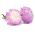 Aster - Paeony - Rose and White - Callistephus chinensis - Romantic Blooms, Garden Perfection - Fresh Seeds
