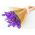 Statice - morado - Limonium sinuatum - Fácil de cultivar, ideal para secar - Semillas frescas