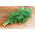 Garden dill "Lucullus" - 2800 seeds