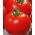 Tomate 'Sabała' - Freilandtomate mit der kompakten, dichten Wuchsform