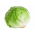 Lattuga Iceberg - Larsen - 900 semi - Lactuca sativa L.