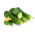 Cetriolo - Dalila F1 - 200 semi - Cucumis sativus