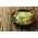 Kiemzaden - Aziatische mix - 250 g zaden - 