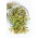 Benih kecambah - Lobak - 250 g biji - 21250 biji - Raphanus sativus 