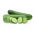 Pepino - Ines F1 - invernadero - 35 semillas - Cucumis sativus