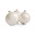 Onion "Alibaba" - white, tender variety for long term storing - 750 seeds