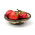Paprikát - Alexander - 65 magok - Capsicum L.
