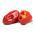 Biber "Mira" - 80 tohum - Capsicum L. - tohumlar