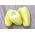 Biber "Mira" - 80 tohum - Capsicum L. - tohumlar