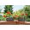 Jardinière Lamela - 50 cm - gris anthracite - 