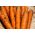 Carota - Nantaise 2 - Croccante e dolce, maturazione medio-precoce - Semi Freschi