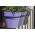 Cesto triplo "Ibiza" in metallo + set di tre contenitori rotondi per vasi - 16 cm - mirtillo-viola - 