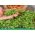 Microgreens - Fit pack - una gran adición a las ensaladas - juego de 10 piezas + recipiente de cultivo -  - semillas