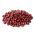Kiemen zaden - GIANT set - 27 stuks + sprouter met 3 trays - 