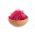 Semi di germogliatura - Set XXL - 18 pezzi + germoglio con 3 vassoi - 