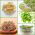 Sprouting seeds - Hot mix - 3-piece set + sprouter with one tray