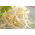 Sprouting seeds - XL set - 8 pieces + sprouter with 3 trays
