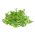 Semillas que brotan - Brotes ricos en vitamina B - Juego de 9 piezas + sprouter con 3 bandejas - 