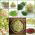 Bubur benih - Tumpukan kaya dengan Vitamin-B - set 9 keping + sprouter dengan 3 baki - 