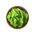 Baby Leaf - Lattuga - Lollo Bionda - Lactuca sativa var. Foliosa - semi