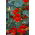 Creeping nasturtium "Scharlachglanz" - red