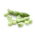 Broad bean "Bonus" - medium-early variety