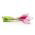 Bawang "Long Rose of Florence" - Allium cepa L. - benih