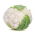 Cavolfiore - Igloory - Brassica oleracea L. var.botrytis L. - semi