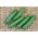 Cucumber "Picolino F1" - greenhouse, short fruit variety - 10 seeds