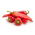 Spanskpeppar - Artist - Capsicum L. - frön