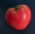 Tomate - Cuor di Bue - Lycopersicon esculentum Mill  - semillas