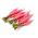 Ramolaccio - Ostergruß Rosa 2 - Raphanus sativus - Radici allungate, gusto intenso - Semi Freschi