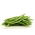 Böna - Mistica - Phaseolus vulgaris L. - frön